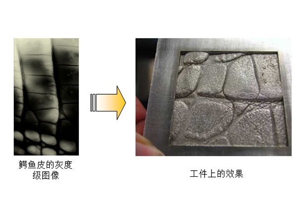 鱷魚紋理效果